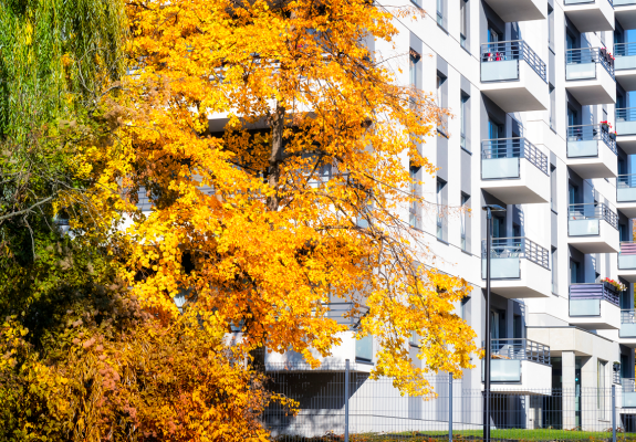 apartment building exterior with autumn leaves on trees