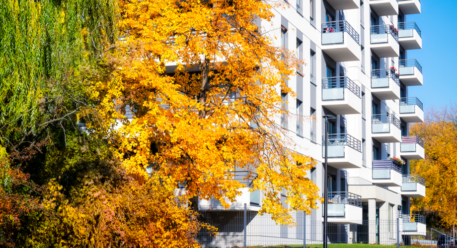 apartment building exterior with autumn leaves on trees
