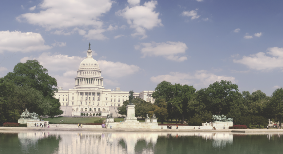Federal Advocacy Outlook: Washington Heads into 2024