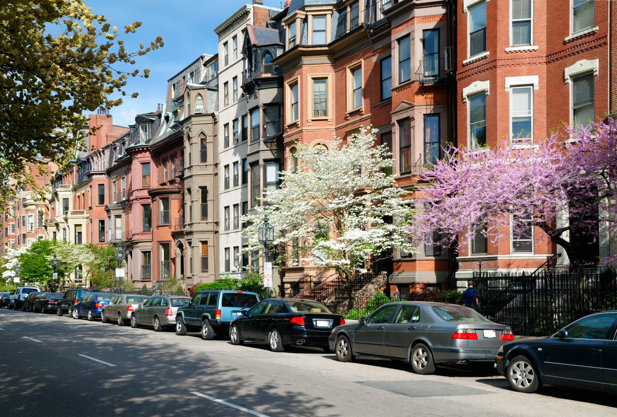 street of brownstones with blooming trees