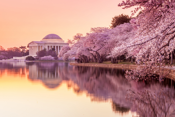 Photo of Washington, D.C. in the spring.