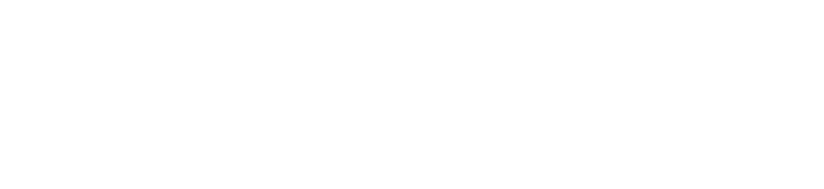conversion logix logo