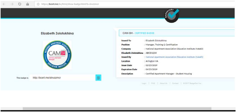 A screenshot of the website where the linked BadgeCert image takes the user.